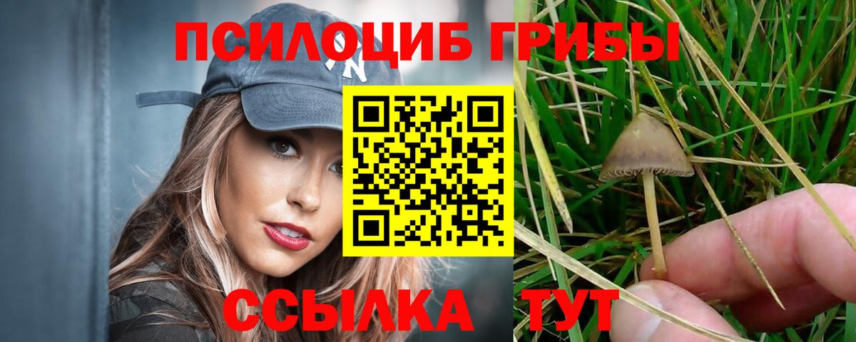 Галлюциногенные грибы Magic Shrooms  Вход с VPN  купить наркотики сайты  Псилоцибиновые грибы прущие грибы  Барабинск 